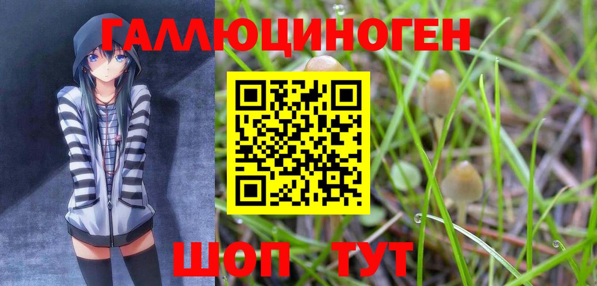 Пушкино  Галлюциногенные грибы прущие грибы  Вход с VPN 
